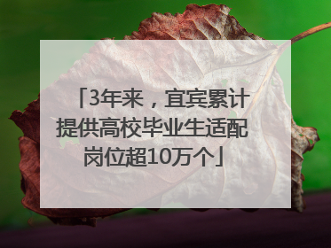 3年来，宜宾累计提供高校毕业生适配岗位超10万个