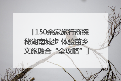 150余家旅行商探秘湖南城步 体验苗乡文旅融合“全攻略”