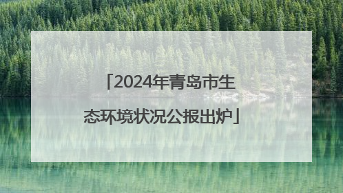 2024年青岛市生态环境状况公报出炉