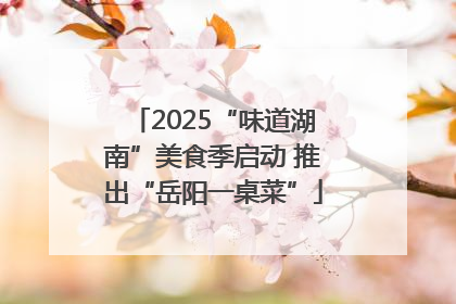 2025“味道湖南”美食季启动 推出“岳阳一桌菜”