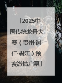 2025中国传统龙舟大赛（贵州·铜仁·碧江）预赛激情启幕