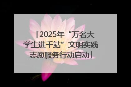 2025年“万名大学生进千站”文明实践志愿服务行动启动