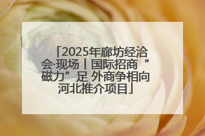 2025年廊坊经洽会·现场丨国际招商“磁力”足 外商争相向河北推介项目