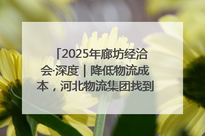 2025年廊坊经洽会·深度｜降低物流成本，河北物流集团找到一把“金钥匙”