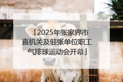 2025年张家界市直机关及驻张单位职工气排球运动会开幕