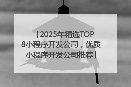 2025年精选TOP8小程序开发公司，优质小程序开发公司推荐