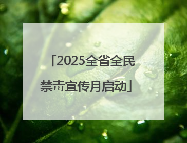 2025全省全民禁毒宣传月启动
