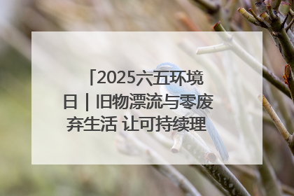2025六五环境日｜旧物漂流与零废弃生活 让可持续理念走进山西社区