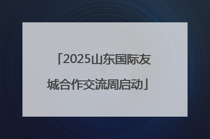 2025山东国际友城合作交流周启动