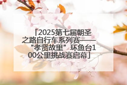 2025第七届朝圣之路自行车系列赛——“孝贤故里”环鱼台100公里挑战赛启幕