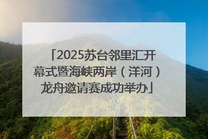 2025苏台邻里汇开幕式暨海峡两岸（洋河）龙舟邀请赛成功举办