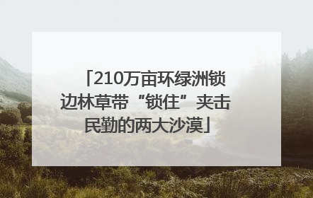 210万亩环绿洲锁边林草带“锁住”夹击民勤的两大沙漠