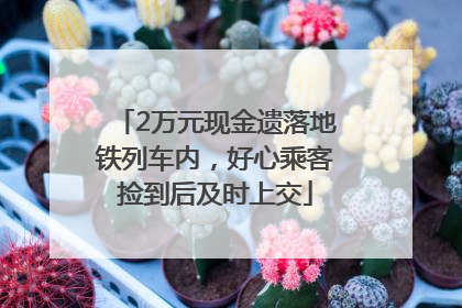 2万元现金遗落地铁列车内，好心乘客捡到后及时上交