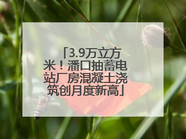 3.9万立方米！潘口抽蓄电站厂房混凝土浇筑创月度新高