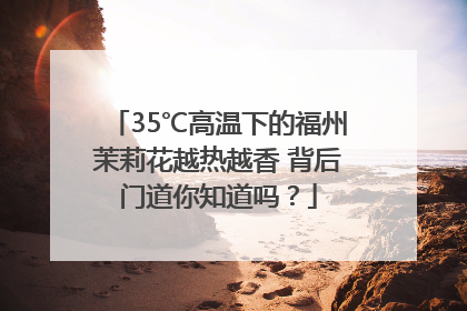 35℃高温下的福州茉莉花越热越香 背后门道你知道吗？
