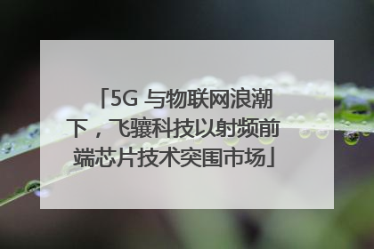 5G 与物联网浪潮下，飞骧科技以射频前端芯片技术突围市场