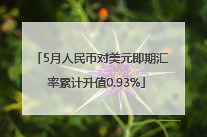 5月人民币对美元即期汇率累计升值0.93%