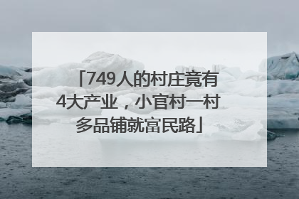 749人的村庄竟有4大产业，小官村一村多品铺就富民路
