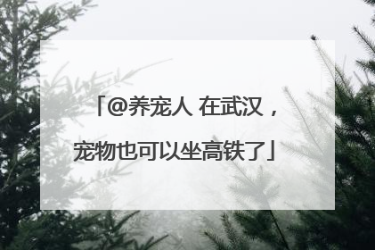@养宠人 在武汉，宠物也可以坐高铁了