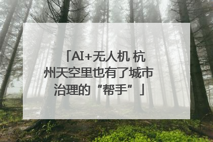 AI+无人机 杭州天空里也有了城市治理的“帮手”