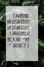 AI智能体是该管控还是被信任？两位图灵奖大佬“吵”起来了
