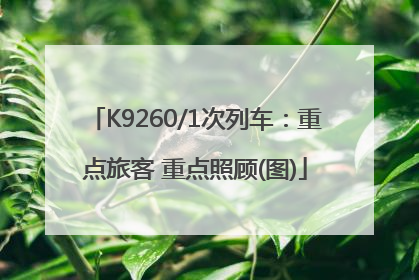 K9260/1次列车：重点旅客 重点照顾(图)