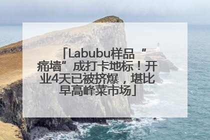 Labubu样品“痛墙”成打卡地标！开业4天已被挤爆，堪比早高峰菜市场