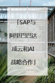 SAP与阿里巴巴达成云和AI战略合作