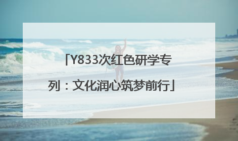 Y833次红色研学专列：文化润心筑梦前行